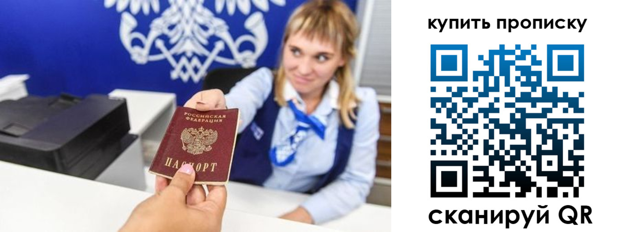 прописка поиск в Котово